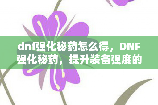 dnf强化秘药怎么得，DNF强化秘药，提升装备强度的神秘药剂