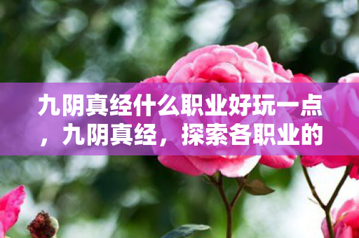 九阴真经什么职业好玩一点，九阴真经，探索各职业的乐趣