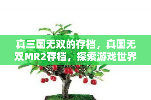 真三国无双的存档，真国无双MR2存档，探索游戏世界的无尽可能