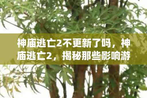 神庙逃亡2不更新了吗，神庙逃亡2，揭秘那些影响游戏体验的bug