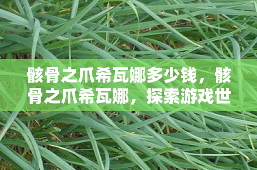 骸骨之爪希瓦娜多少钱，骸骨之爪希瓦娜，探索游戏世界的神秘力量