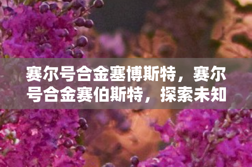 赛尔号合金塞博斯特，赛尔号合金赛伯斯特，探索未知，挑战极限