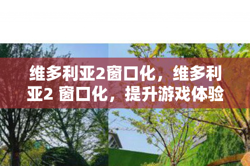 维多利亚2窗口化，维多利亚2 窗口化，提升游戏体验的实用技巧