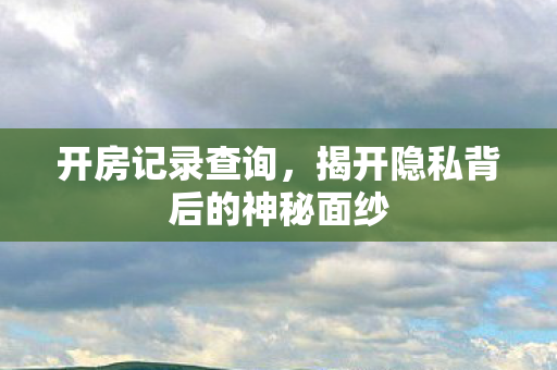 开房记录查询，揭开隐私背后的神秘面纱