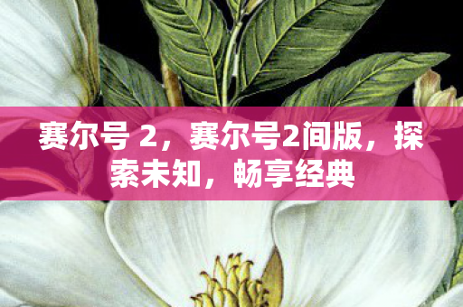 赛尔号 2，赛尔号2间版，探索未知，畅享经典