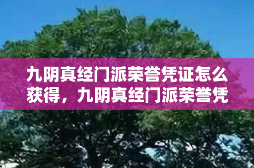 九阴真经门派荣誉凭证怎么获得，九阴真经门派荣誉凭证，荣耀与传承的见证