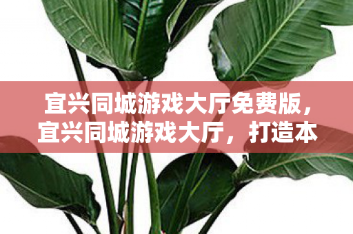 宜兴同城游戏大厅免费版，宜兴同城游戏大厅，打造本地游戏新体验