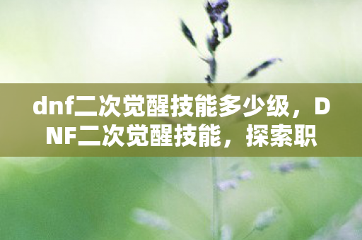 dnf二次觉醒技能多少级，DNF二次觉醒技能，探索职业新境界的奥秘