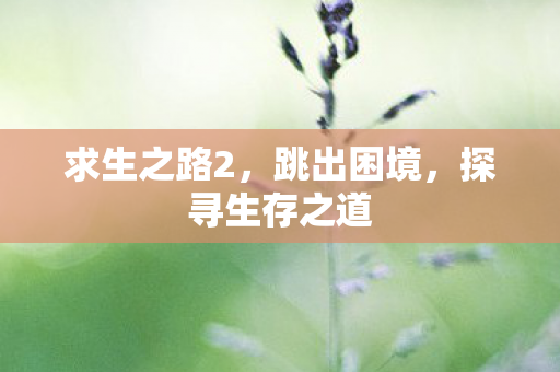求生之路2，跳出困境，探寻生存之道