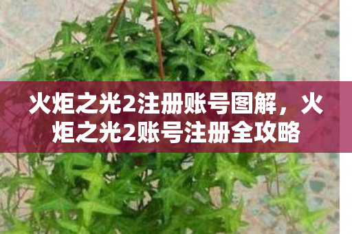 火炬之光2注册账号图解，火炬之光2账号注册全攻略