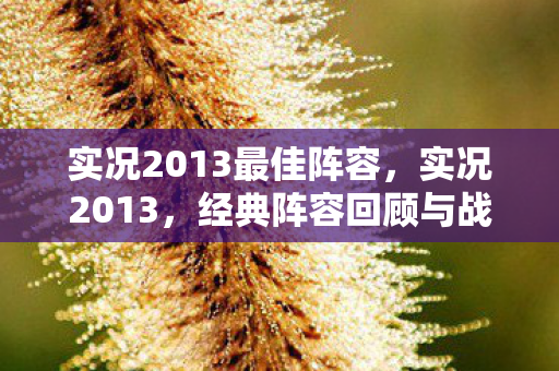 实况2013最佳阵容，实况2013，经典阵容回顾与战术解析