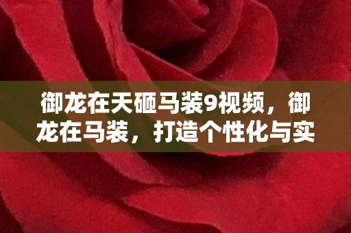御龙在天砸马装9视频，御龙在马装，打造个性化与实用性的完美结合