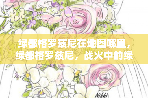 绿都格罗兹尼在地图哪里，绿都格罗兹尼，战火中的绿色奇迹