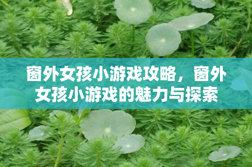 窗外女孩小游戏攻略，窗外女孩小游戏的魅力与探索