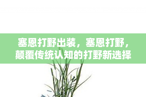 塞恩打野出装，塞恩打野，颠覆传统认知的打野新选择