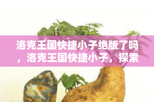 洛克王国快捷小子绝版了吗，洛克王国快捷小子，探索王国的奇妙之旅