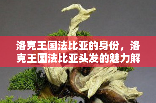 洛克王国法比亚的身份，洛克王国法比亚头发的魅力解析