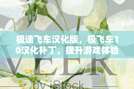 极速飞车汉化版，极飞车10汉化补丁，提升游戏体验的必备利器