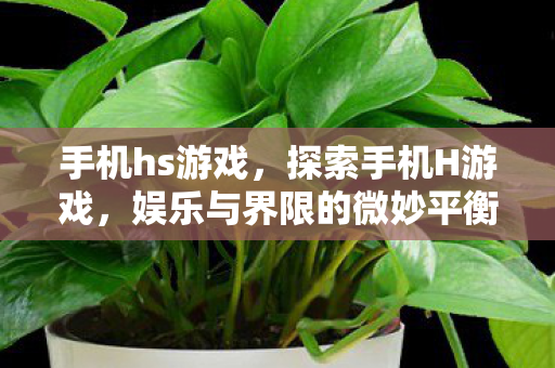 手机hs游戏，探索手机H游戏，娱乐与界限的微妙平衡