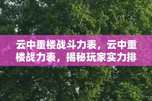云中重楼战斗力表，云中重楼战力表，揭秘玩家实力排名的奥秘