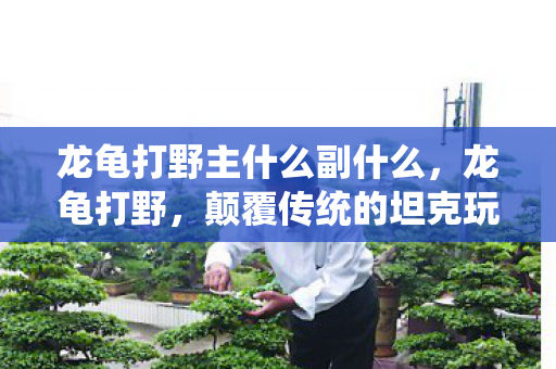 龙龟打野主什么副什么，龙龟打野，颠覆传统的坦克玩法