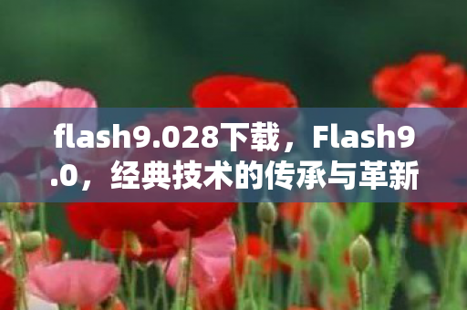 flash9.028下载，Flash9.0，经典技术的传承与革新