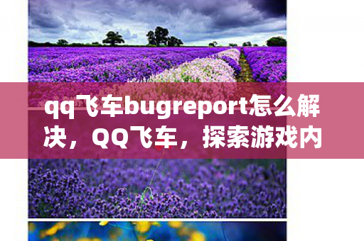 qq飞车bugreport怎么解决，QQ飞车，探索游戏内的奇妙Bug与修复之旅