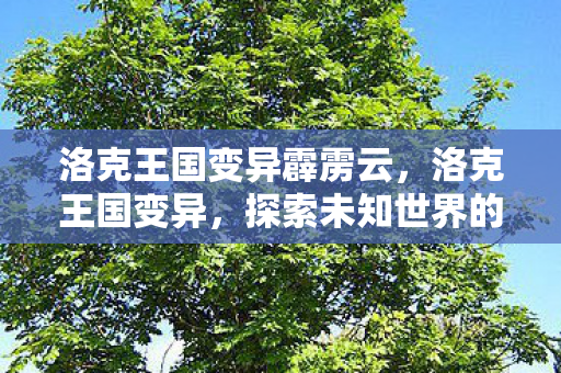 洛克王国变异霹雳云，洛克王国变异，探索未知世界的奇妙旅程