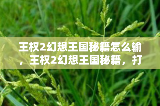 王权2幻想王国秘籍怎么输，王权2幻想王国秘籍，打造你的王国之路