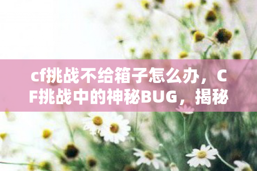 cf挑战不给箱子怎么办，CF挑战中的神秘BUG，揭秘游戏内的未知漏洞