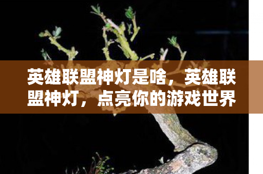 英雄联盟神灯是啥，英雄联盟神灯，点亮你的游戏世界