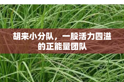 胡来小分队，一股活力四溢的正能量团队