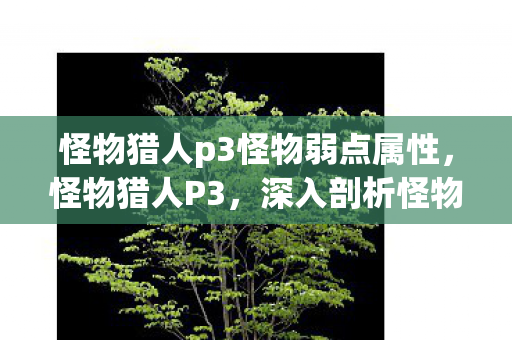 怪物猎人p3怪物弱点属性，怪物猎人P3，深入剖析怪物弱点