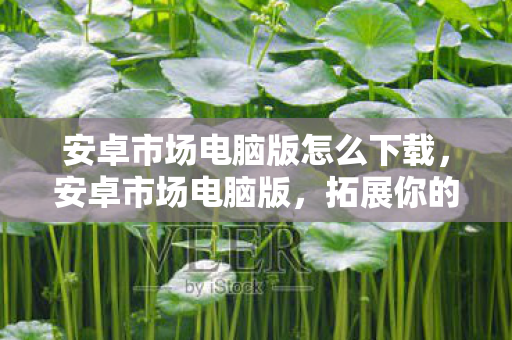 安卓市场电脑版怎么下载，安卓市场电脑版，拓展你的数字生活新边界