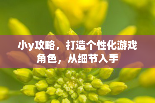 小y攻略，打造个性化游戏角色，从细节入手