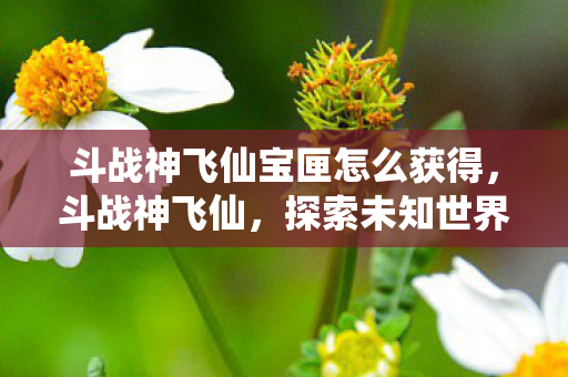 斗战神飞仙宝匣怎么获得，斗战神飞仙，探索未知世界的奇幻之旅
