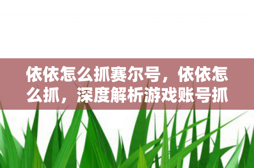 依依怎么抓赛尔号，依依怎么抓，深度解析游戏账号抓取策略