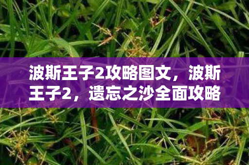 波斯王子2攻略图文，波斯王子2，遗忘之沙全面攻略