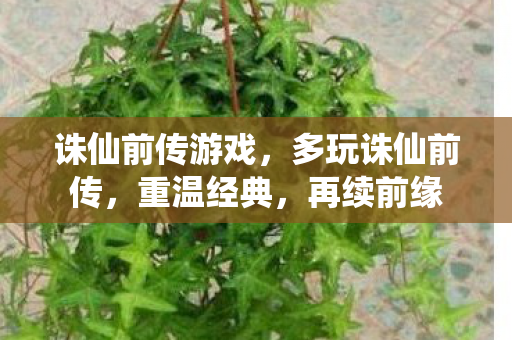 诛仙前传游戏，多玩诛仙前传，重温经典，再续前缘