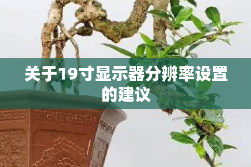 关于19寸显示器分辨率设置的建议