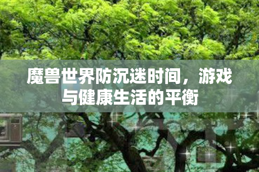 魔兽世界防沉迷时间，游戏与健康生活的平衡