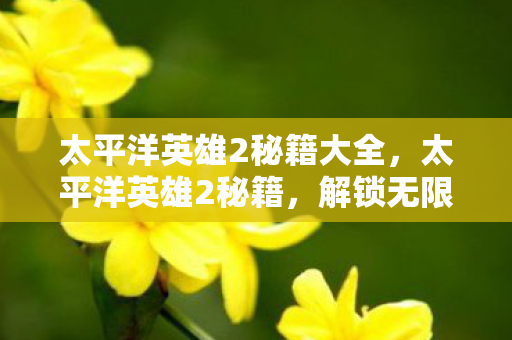 太平洋英雄2秘籍大全，太平洋英雄2秘籍，解锁无限潜能的实战攻略