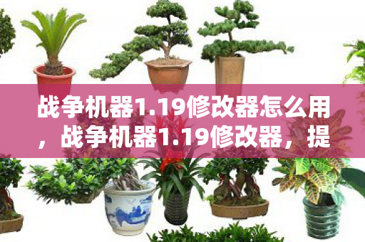 战争机器1.19修改器怎么用，战争机器1.19修改器，提升游戏体验的合法工具