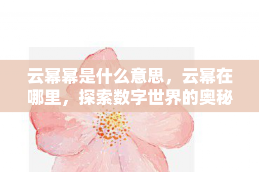 云幂幂是什么意思，云幂在哪里，探索数字世界的奥秘
