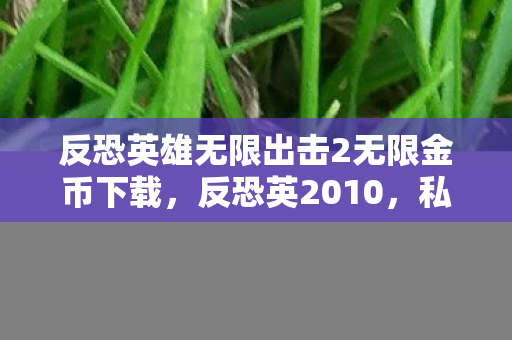 反恐英雄无限出击2无限金币下载，反恐英2010，私服背后的秘密与游戏生态的维护