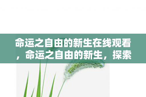 命运之自由的新生在线观看，命运之自由的新生，探索游戏世界的无限可能
