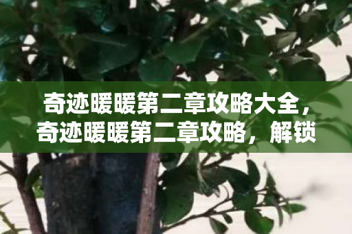 奇迹暖暖第二章攻略大全，奇迹暖暖第二章攻略，解锁新篇章的时尚之旅