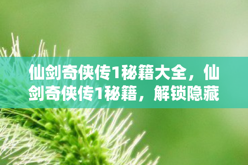 仙剑奇侠传1秘籍大全，仙剑奇侠传1秘籍，解锁隐藏剧情与角色攻略