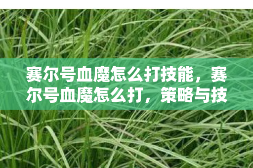 赛尔号血魔怎么打技能，赛尔号血魔怎么打，策略与技巧详解