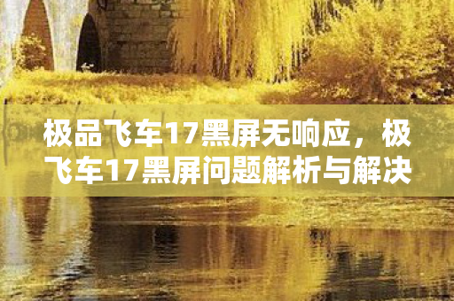 极品飞车17黑屏无响应，极飞车17黑屏问题解析与解决之道